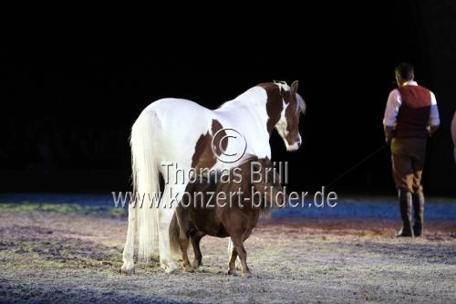 Pferdeshow APASSIONATA gastiert mit dem Programm 