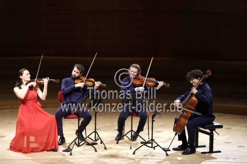 Kammermusikensemble Alinde Quartett gastiert mit Werken von Josquin des Prez und Franz Schubert in der Kölner Philharmonie (&copy; Thomas Brill)