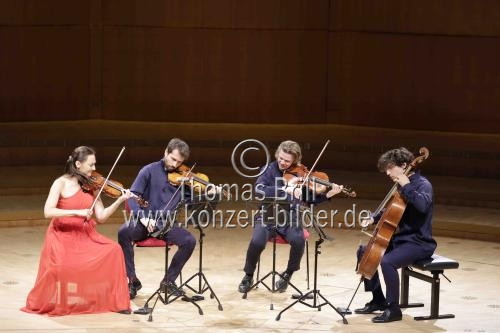 Kammermusikensemble Alinde Quartett gastiert mit Werken von Josquin des Prez und Franz Schubert in der Kölner Philharmonie (&copy; Thomas Brill)