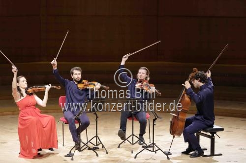 Kammermusikensemble Alinde Quartett gastiert mit Werken von Josquin des Prez und Franz Schubert in der Kölner Philharmonie (&copy; Thomas Brill)