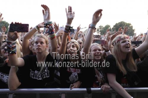 Deutsche Rapper Alligatoah gastiert auf seiner 