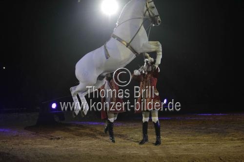 Pferdeshow APASSIONATA gastiert mit der Jubiläums-Show „10 Jahre APASSIONATA – Freunde für immer“ vom 12. und 13. April 2013 in der Lanxess-Arena Köln (&copy; Thomas Brill)