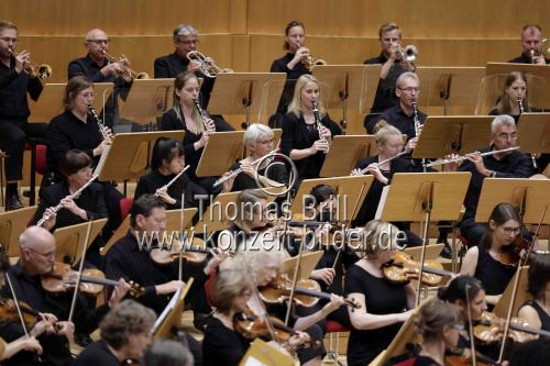 Französische Dirigent François-Xavier Roth leitet das von ihm gegründete  Französische Dirigent François-Xavier Roth leitet das von ihm gegründete
