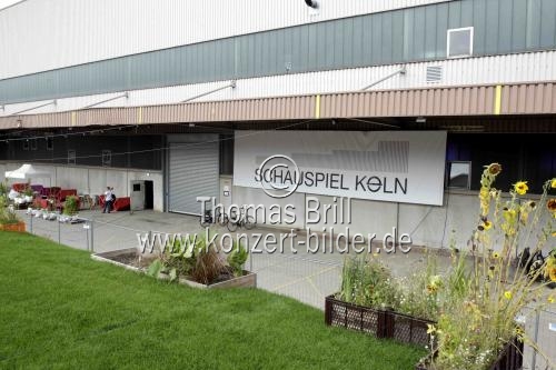 Der Carlsgarten ist ein urbaner Garten auf dem Vorplatz der Interimspielstätte des Schauspielhaus Köln dem Depot im Carlswerk Köln (© Thomas Brill)
