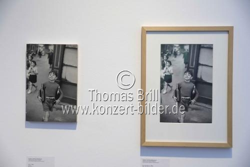 Die Ausstellung 