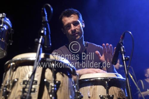 Australische Musikgruppe The Cat Empire gastiert auf ihrer 