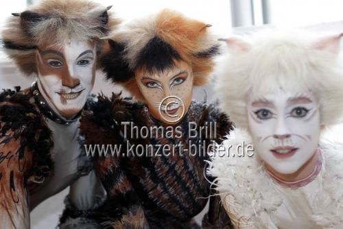 Österreichische Regisseur Peter Weck präsentiert das Musical Cats, das vom 22. September bis 28. Oktober 2012 in Köln gastieren wird (&copy; Thomas Brill)