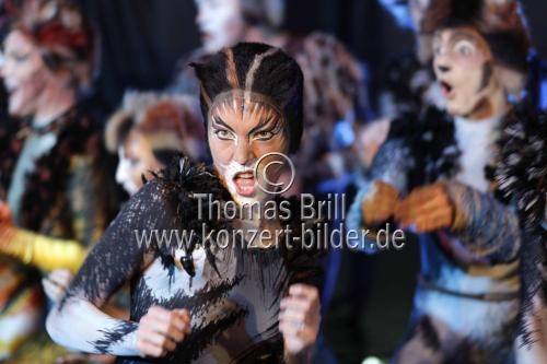 Österreichische Regisseur Peter Weck präsentiert das Musical Cats, das vom 22. September bis 28. Oktober 2012 in Köln gastieren wird (&copy; Thomas Brill)