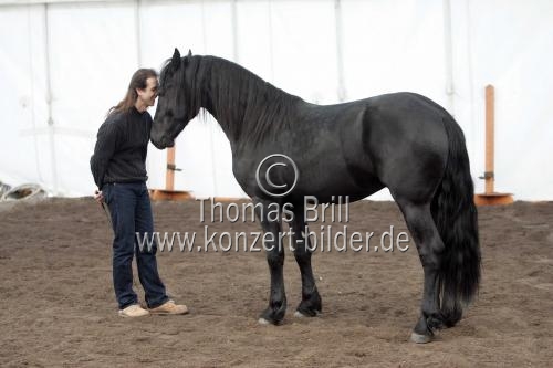 Französische Pferdetrainer Frédéric Pignon und Magali Delgado gastieren mit ihrer Show 