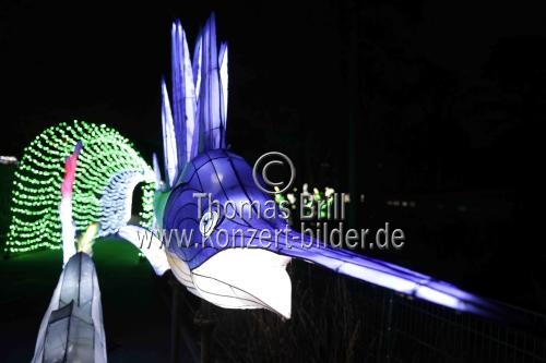 Winterlichtershow 