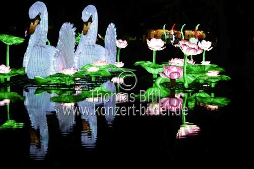 Winterlichtershow 
