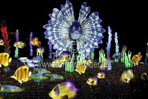 Winterlichtershow 