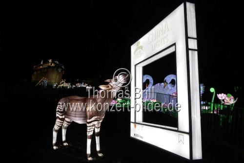 Winterlichtershow 