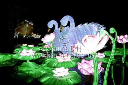 Winterlichtershow 