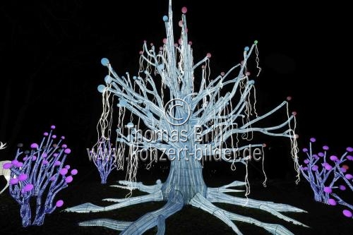 Winterlichtershow 