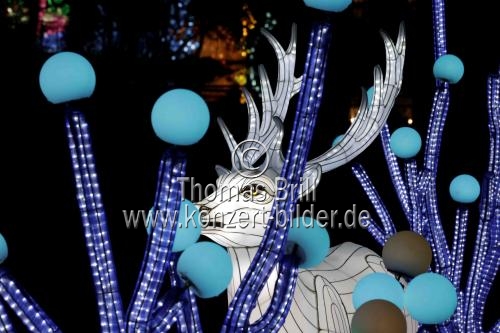 Winterlichtershow 