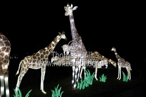 Winterlichtershow 