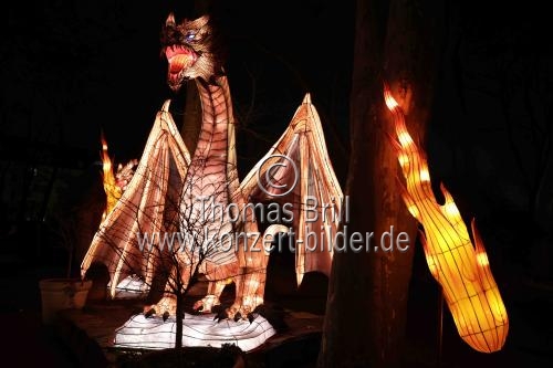 Winterlichtershow 