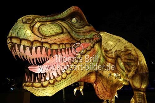 Winterlichtershow 