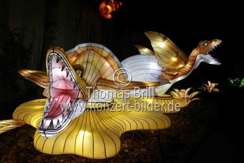Winterlichtershow 
