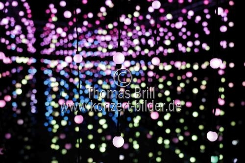 Weihnachtslichtershow Christmas Garden Köln gastiert vom 17. November 2022 bis zum 15. Januar 2023 im Kölner Zoo (&copy; Thomas Brill)