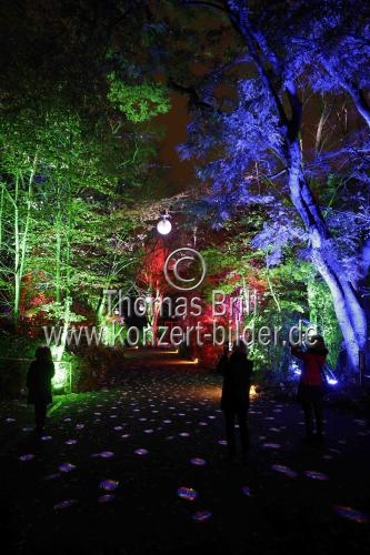 Weihnachtslichtershow Christmas Garden Köln gastiert vom 17. November 2021 bis 16. Januar 2022 im Kölner Zoo (© Thomas Brill)