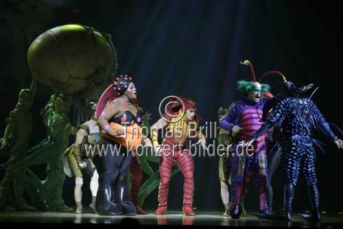 Kanadischer Zirkus Cirque du Soleil gastiert mit seinem Programm 