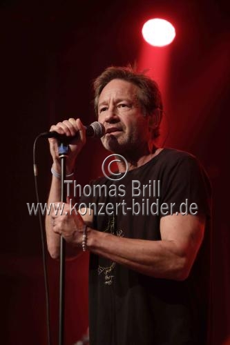 Amerikanischer Musiker David Duchovny gastiert auf seiner 