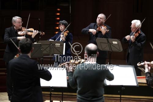 Deutsch Violinist Daniel Gaede leitet die Berliner Barock Solisten in der Philharmonie Köln (© Thomas Brill)