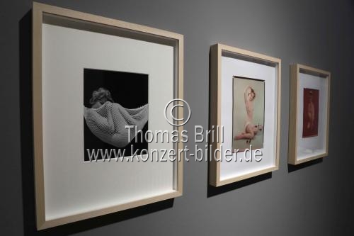 Die Ausstellung 