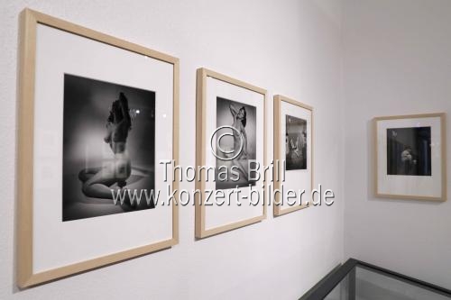 Die Ausstellung 