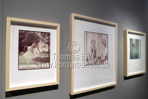 Die Ausstellung 