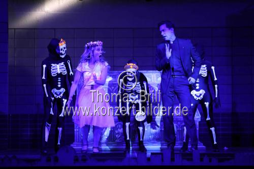 Das Köln-Musical  Das Köln-Musical