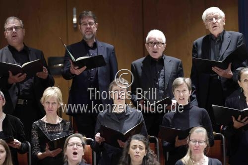 Österreichischer Dirigent Patrick Hahn leitet das Sinfonieorchester Wuppertal in der Kölner Philharmonie (&copy; Thomas Brill)