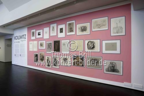 Die Ausstellung 