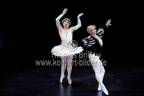 Amerikanische Männer-Ballettkompanie Les Ballets Trockadero de Monte Carlo gastiert im Rahmen des 35. Kölner Sommerfestivals vom 16. bis 21. Juli 2024 in der Kölner Philharmonie (© Thomas Brill)