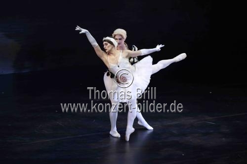 Amerikanische Männer-Ballettkompanie Les Ballets Trockadero de Monte Carlo gastiert im Rahmen des 35. Kölner Sommerfestivals vom 16. bis 21. Juli 2024 in der Kölner Philharmonie (© Thomas Brill)