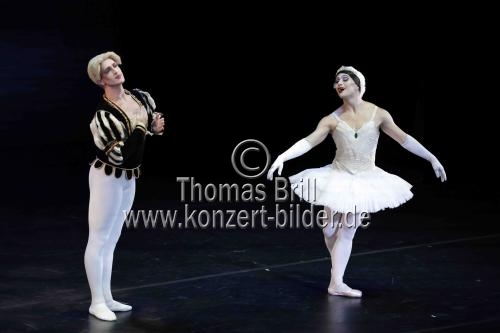 Amerikanische Männer-Ballettkompanie Les Ballets Trockadero de Monte Carlo gastiert im Rahmen des 35. Kölner Sommerfestivals vom 16. bis 21. Juli 2024 in der Kölner Philharmonie (© Thomas Brill)
