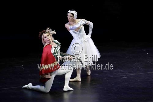 Amerikanische Männer-Ballettkompanie Les Ballets Trockadero de Monte Carlo gastiert im Rahmen des 35. Kölner Sommerfestivals vom 16. bis 21. Juli 2024 in der Kölner Philharmonie (© Thomas Brill)