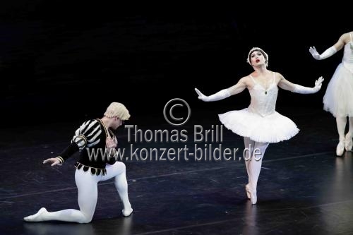 Amerikanische Männer-Ballettkompanie Les Ballets Trockadero de Monte Carlo gastiert im Rahmen des 35. Kölner Sommerfestivals vom 16. bis 21. Juli 2024 in der Kölner Philharmonie (© Thomas Brill)