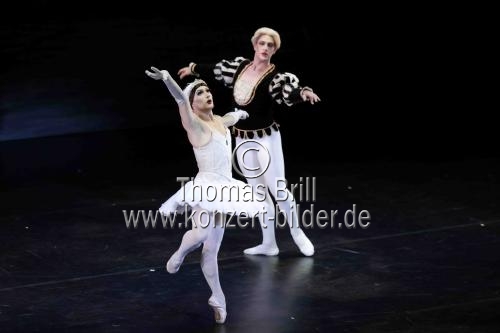 Amerikanische Männer-Ballettkompanie Les Ballets Trockadero de Monte Carlo gastiert im Rahmen des 35. Kölner Sommerfestivals vom 16. bis 21. Juli 2024 in der Kölner Philharmonie (© Thomas Brill)