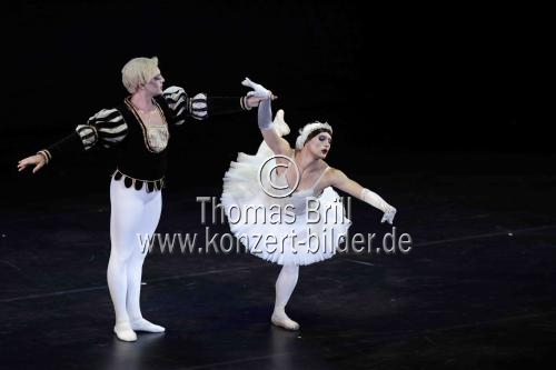 Amerikanische Männer-Ballettkompanie Les Ballets Trockadero de Monte Carlo gastiert im Rahmen des 35. Kölner Sommerfestivals vom 16. bis 21. Juli 2024 in der Kölner Philharmonie (© Thomas Brill)