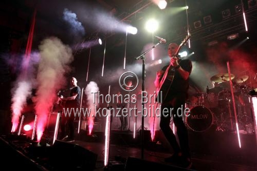 Belgische Singer-Songwriter Jonathan Vandenbroeck alias Milow gastiert auf seiner 