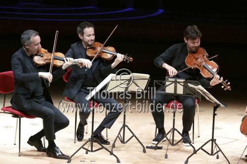 Französisches Streichquartett Quatuor Ébène gastiert mit Werken von Ludwig van Beethoven, Benjamin Britten und Peter Iljitsch Tschaikowsky in der Kölner Philharmonie (© Thomas Brill)