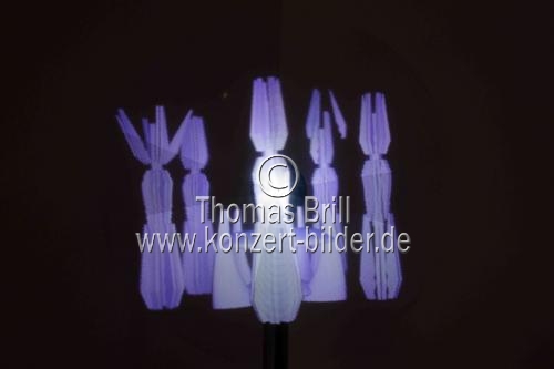 Internationales Künstlerkollektiv SWOODING ARCHITECTS, ZHENG MALER und Andreas Niegl gastieren mit ihrer Ausstellung 