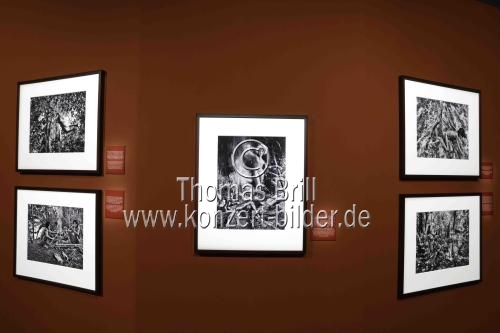 Die Ausstellung „AMAZÔNIA – Fotografien von Sebastião Salgado“ gastiert vom 29. Oktober 2025 bis 15. März 2026 im Rautenstrauch-Joest-Museum Köln (&copy; Thomas Brill)