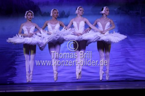 Das Russische Nationalballett aus Moskau gastiert mit Peter Iljitsch Tschaikowskys Schwanensee in der Lanxess Arena Köln (&copy; Thomas Brill)