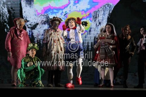 SHREK – Das Musical feiert am 19. Oktober 2014 im Capitol Theater Düsseldorf Premiere (© Thomas Brill)