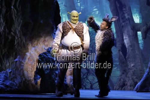 SHREK – Das Musical feiert am 19. Oktober 2014 im Capitol Theater Düsseldorf Premiere (© Thomas Brill)