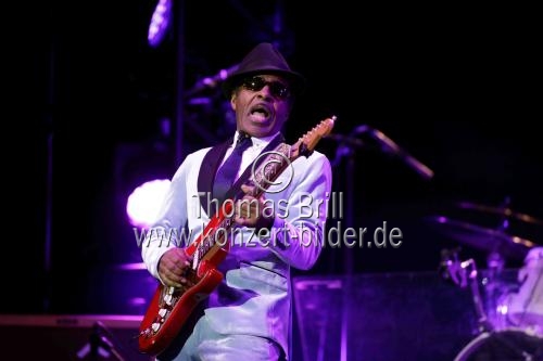 Die Musical-Hommage an Tina Turner 